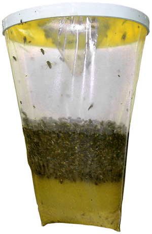Flies Be Gone Non-Toxic Fly Trap. Y