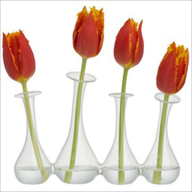 handblown glass vase from CB2