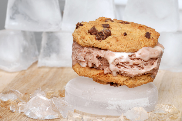 chocolate chip ice cream sandwich