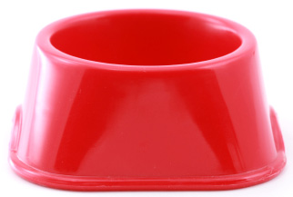 Dog bowl