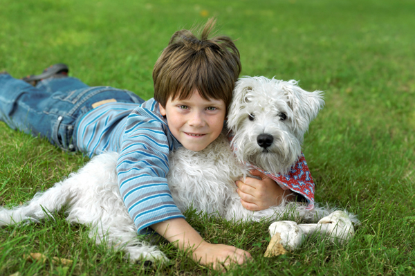 Dog And Boy