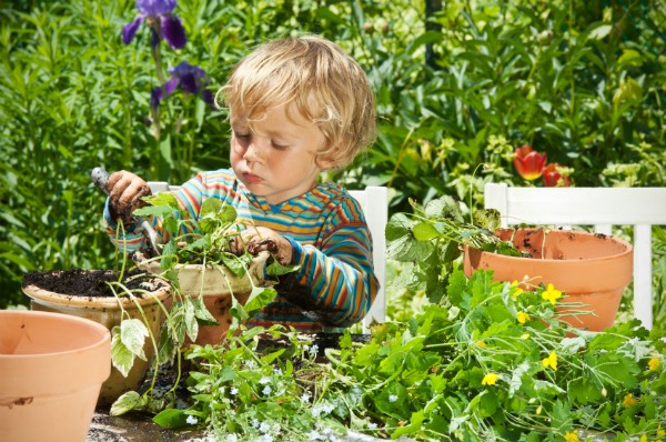 little boy in garden