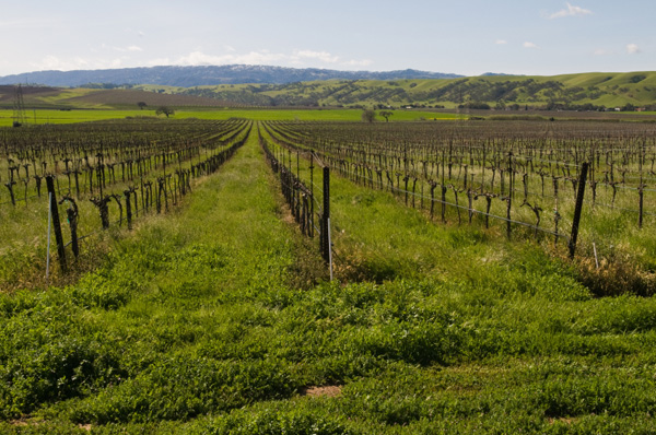 Livermore Valley