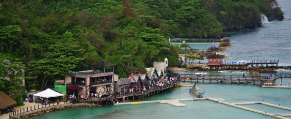 dolphin cove