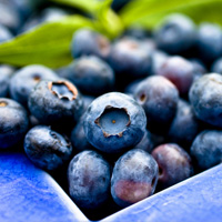 Blueberry