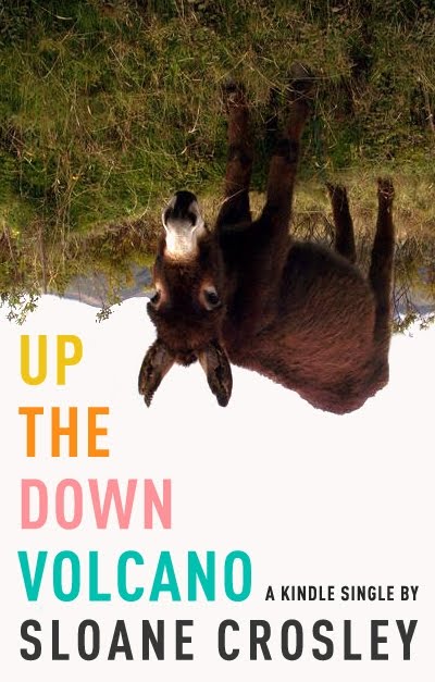 Up the Down Volcano cover