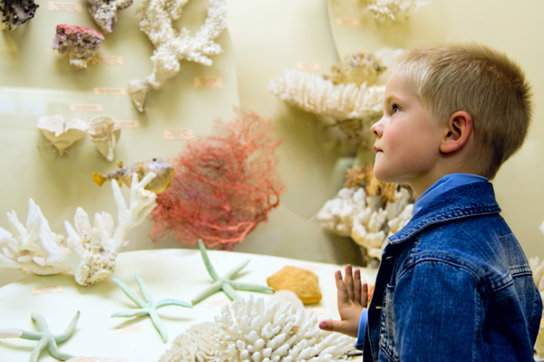 preschooler at museum