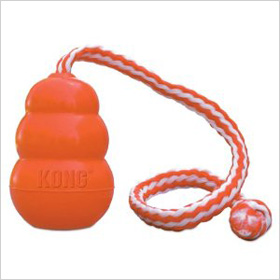 http://www.amazon.com/KONG-Aqua-Dog-Large-Orange/dp/B0002AR150