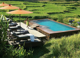 Pool at the Four Seasons Resort Chiang Mai