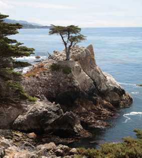 17-mile drive