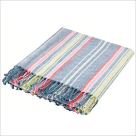 Chic picnic blanket