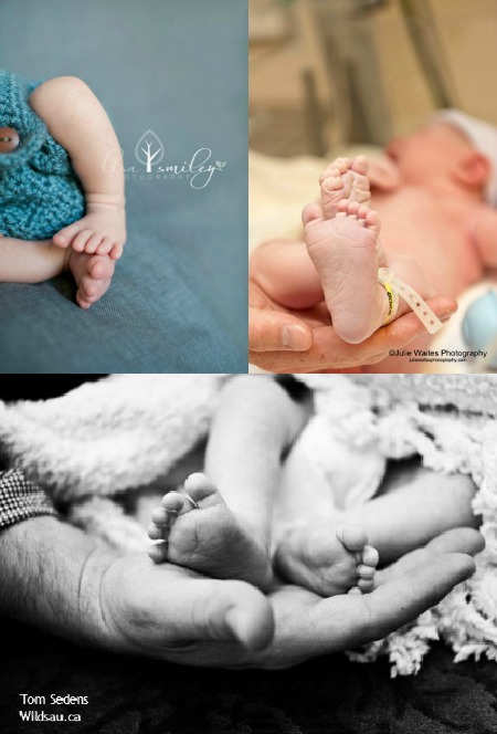 pitter patter collage