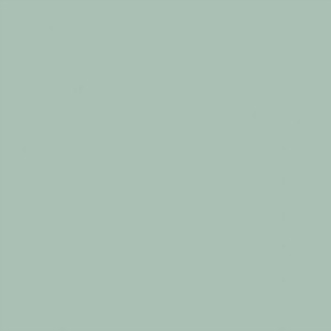Benjamin moore paint