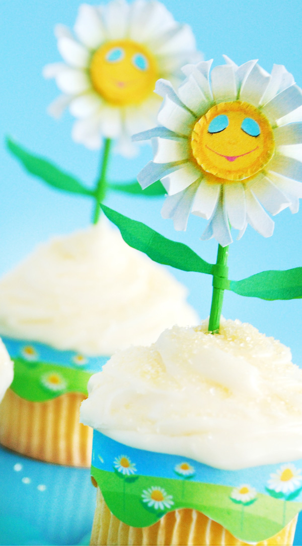 Daisy craft