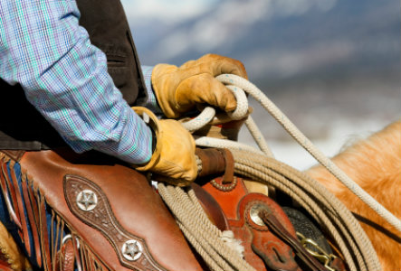 Calgary Stampede
