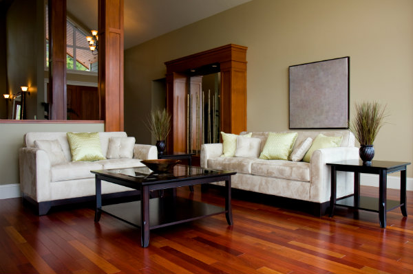 Stylish living room