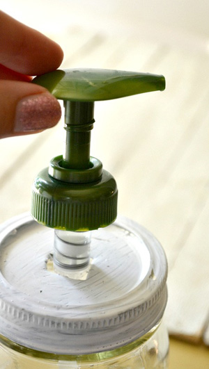 lid