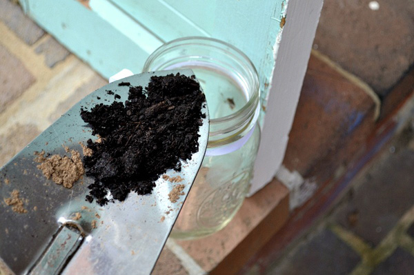 fill jar with soil