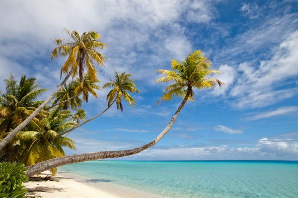 Beach in Fiji