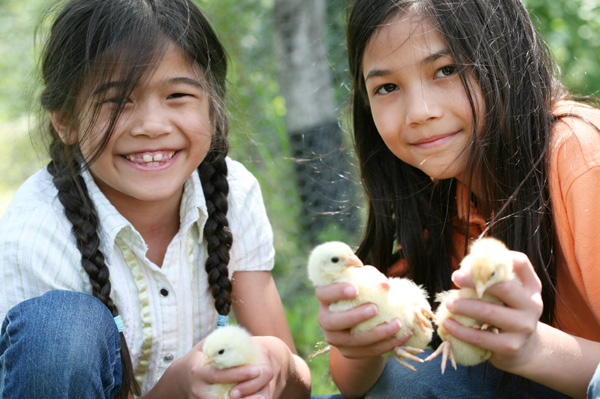 Girls with pet chickens
