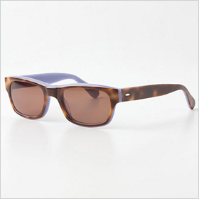 stylish tortoiseshell pair of sunglasses