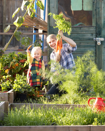Mom picking carrots with daughter
