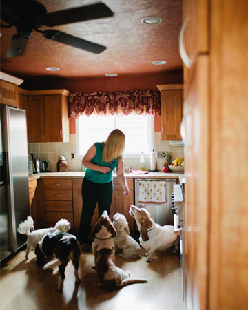 DogVacay host