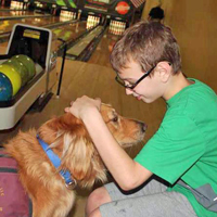 Arizona Goldens LLC service dog