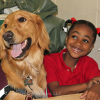Arizona Goldens LLC service dog