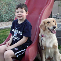 Arizona Goldens LLC service dog