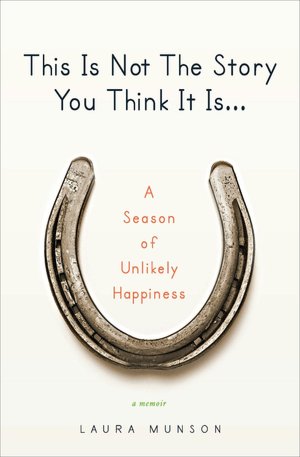 This is Not the STory You Think it is cover