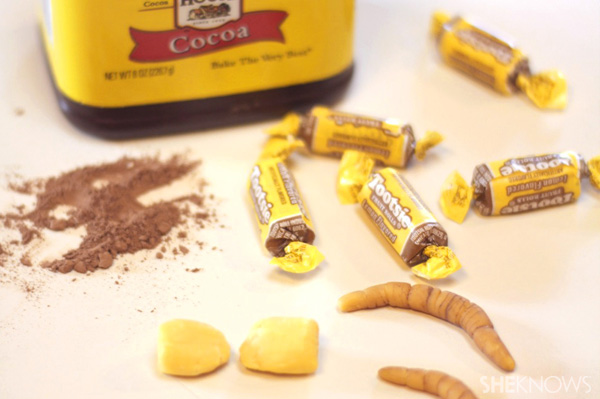 Worm ingredients