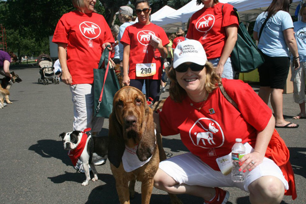 The Animal Cancer Foundation Walk