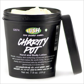 Charity Pot