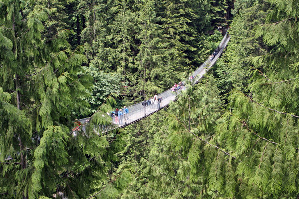 Capilano Suspension Bridge
