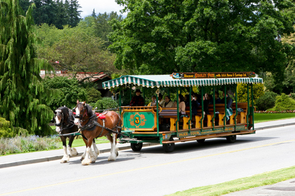 Stanley Park
