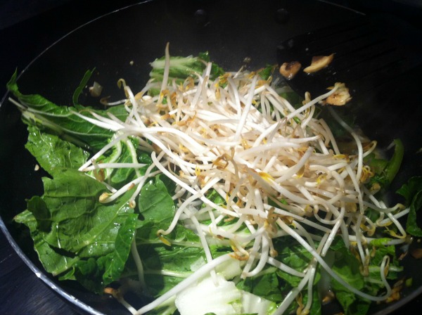 Bok choy and sprouts