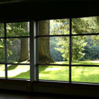 Green windows