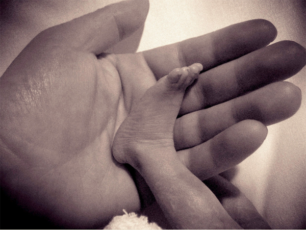 Tiny baby foot in parent's hand