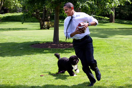 President Obama & Bo