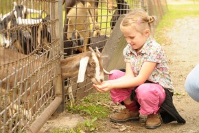 Child at the zoo