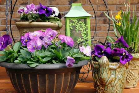 Container garden