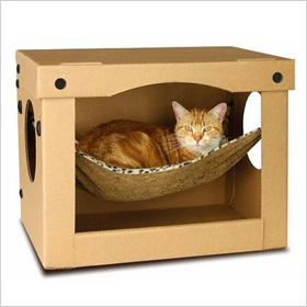 Cat Hammock Cardboard Box With