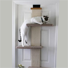 SmartCat Multi-Level Cat Climber