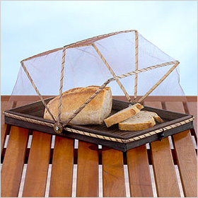 bamboo dome