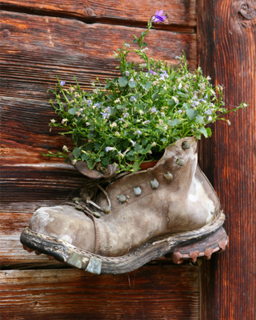 Hiking boot planter