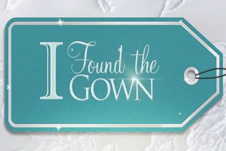 I Found the Gown on TLC