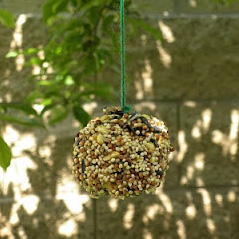 Bird feeder