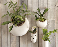  West Elm ~ Shane Powers Ceramic Wall Planters ~ Pierced Tube Planter