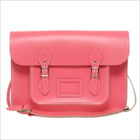 Sophisticated satchel